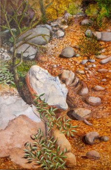 Sonoran Scene IV by Anne Leonard